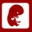 Pregnancy Count icon